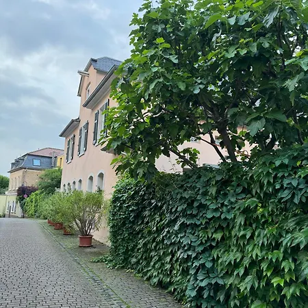 Rheinblick-oase * Oppenheim