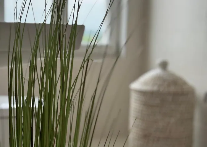 Apartament Rheinblick-oase *